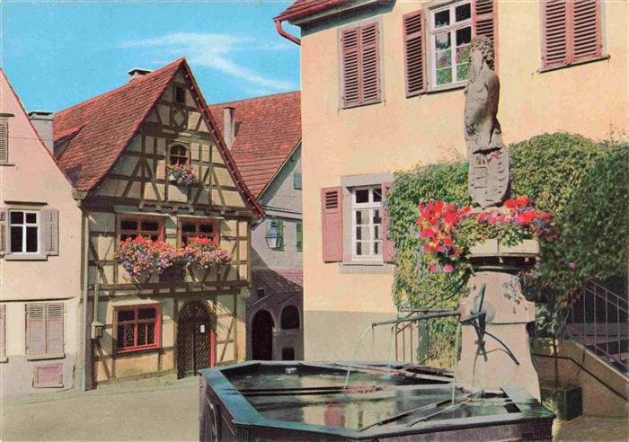 Marbach  Neckar Schillers Geburtshaus Wilder Mann Brunen