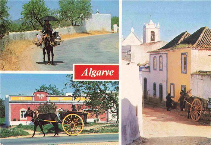 Algarve PT Esel