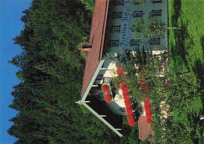 Eisenaerzt Gasthof Forellenhof