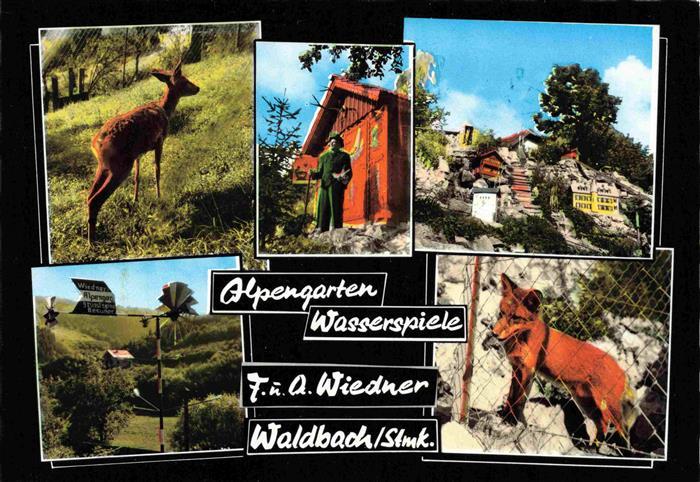 Waldbach Steiermark AT Alpengarten Wasserspiele Reh Fuchs
