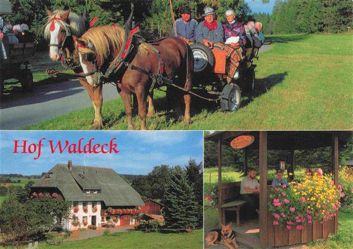 Grafenhausen Schwarzwald Hof Waldeck Pferdewagen Ferien auf dem Bauernhof
