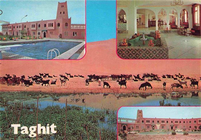 Taghit ORAN Algerie Hotel Foyer Seimming Pool Wueste Kamele