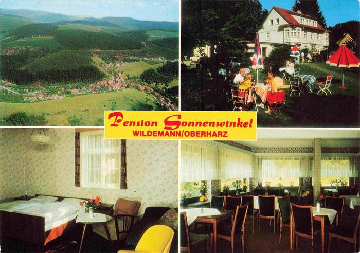 Wildemann Harz Luftaufnahme Pension Sonnenwinkel Garten Fremdenzimmer Gastraum