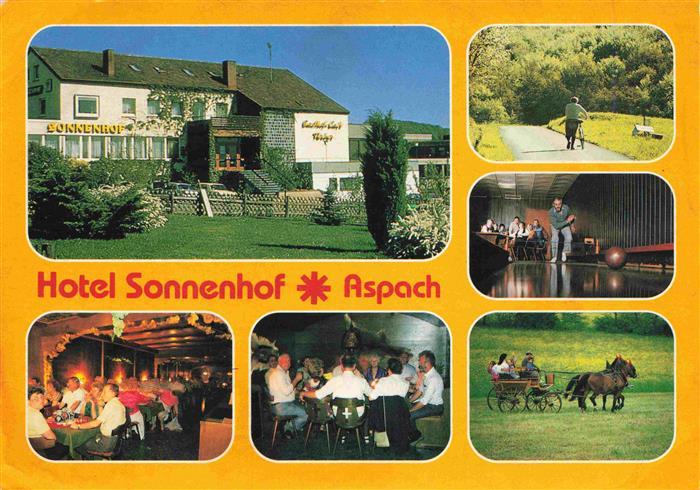 Kleinaspach Hotel Sonnenhof Restaurant Kegelbahn Pferdekutsch