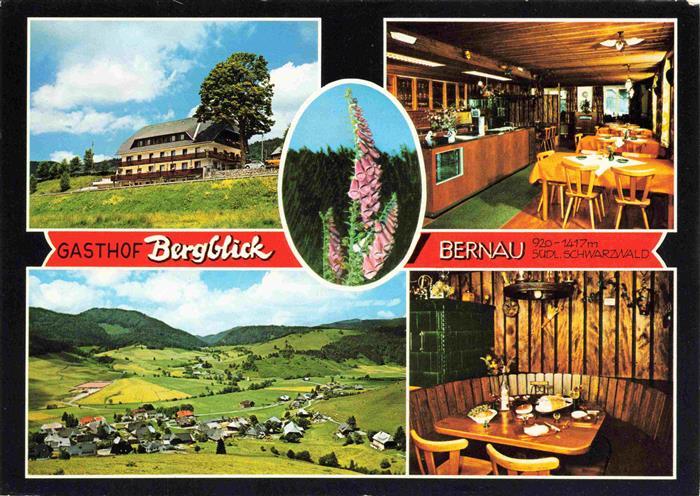 Bernau Schwarzwald Gasthof Bergblick Gastraum Panorama Luftaufnahme