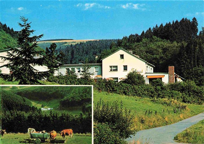 Girkhausen Bad Berleburg Wittgenstein Gasthof Pension Schmelzhuette Viehweide La