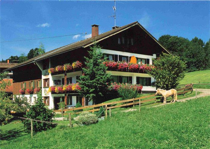 Unterthalhofen Allgaeu Gaestehaus Haus am Wildbach