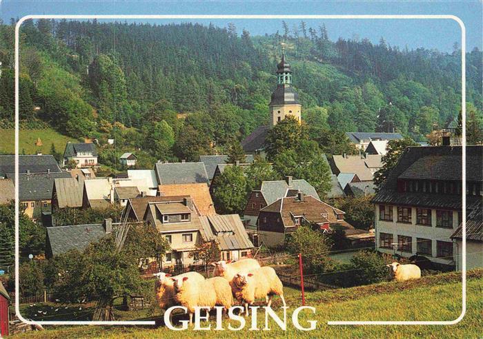 Geising Erzgebirge Ortsansicht mit Kirche